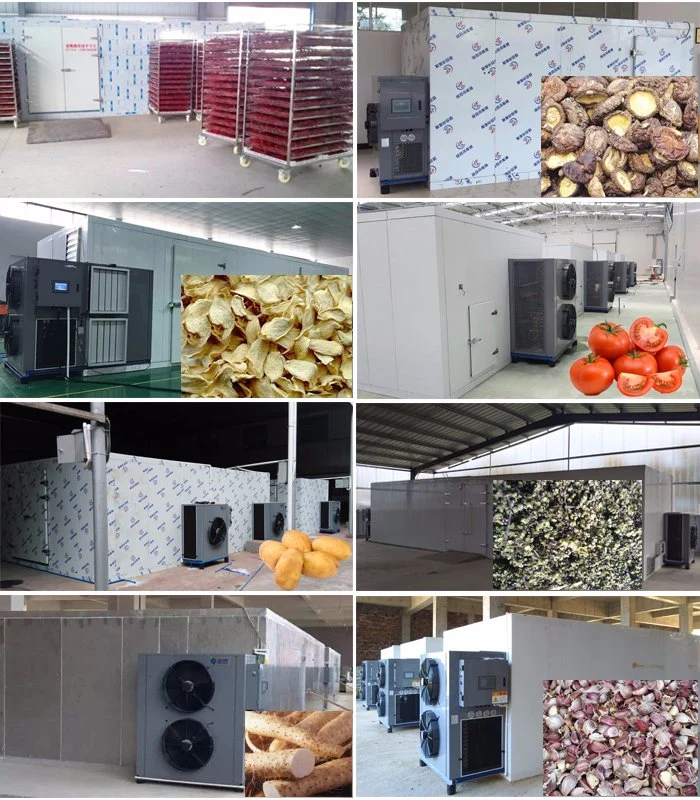 Hot Air Circulating Dehumidify Automatic Food Dehydrator Banana Chips Mango Vegetable Dryer Fruit Drying Vegetable Dryer